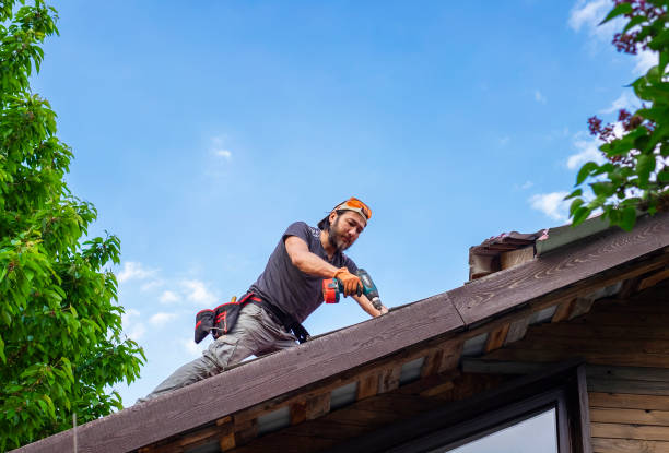 Best Roof Moss and Algae Removal  in Lorenzo, TX